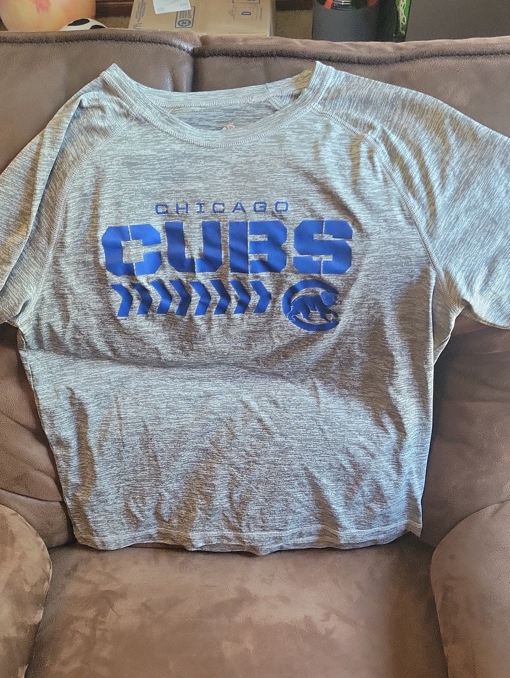 Large Chicago Cubs Tee.